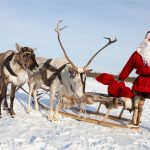 Santa's Reindeer Names and Personalities
