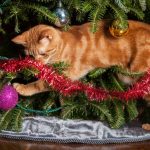 keep cat out of christmas tree