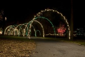 Driveway Christmas Light Arch
