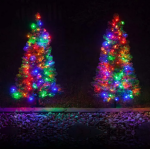 Outdoor Walkway Lined With Two Colorful Christmas Trees