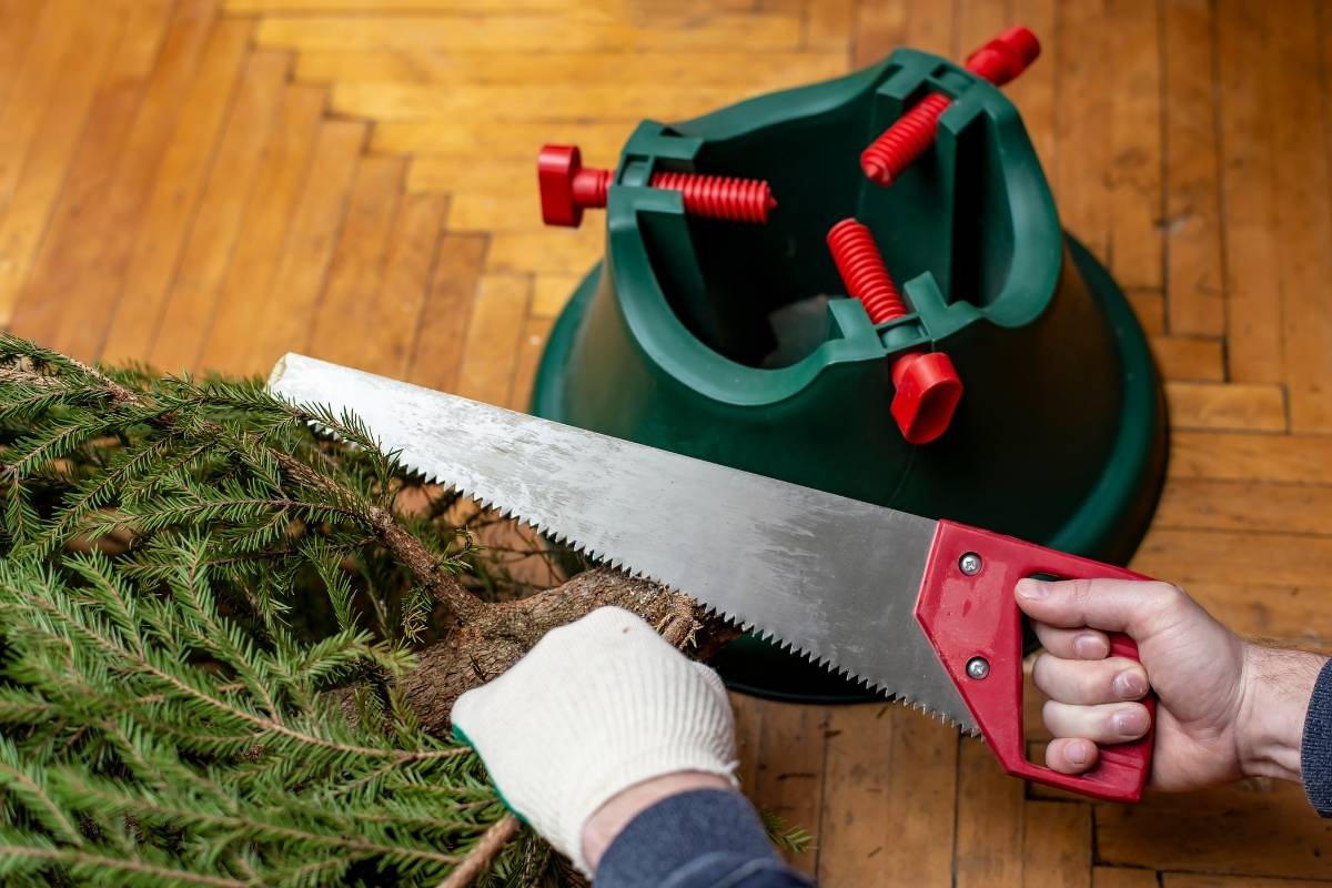 cutting Christmas tree trunk for stand