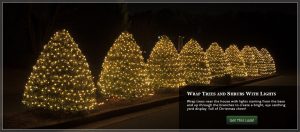 bush outdoor Christmas light ideas